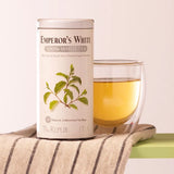 Picture Republic of Tea Emperor's White Tea Can and cup or white tea