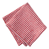Tag Textured Dish Cloth red and white checked