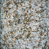 Gourmet Food Garlic Sea Salt