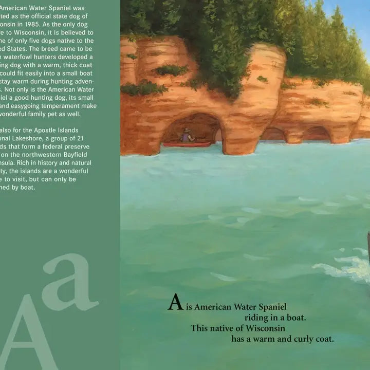 B is for Badger: A Wisconsin Alphabet Picture Book