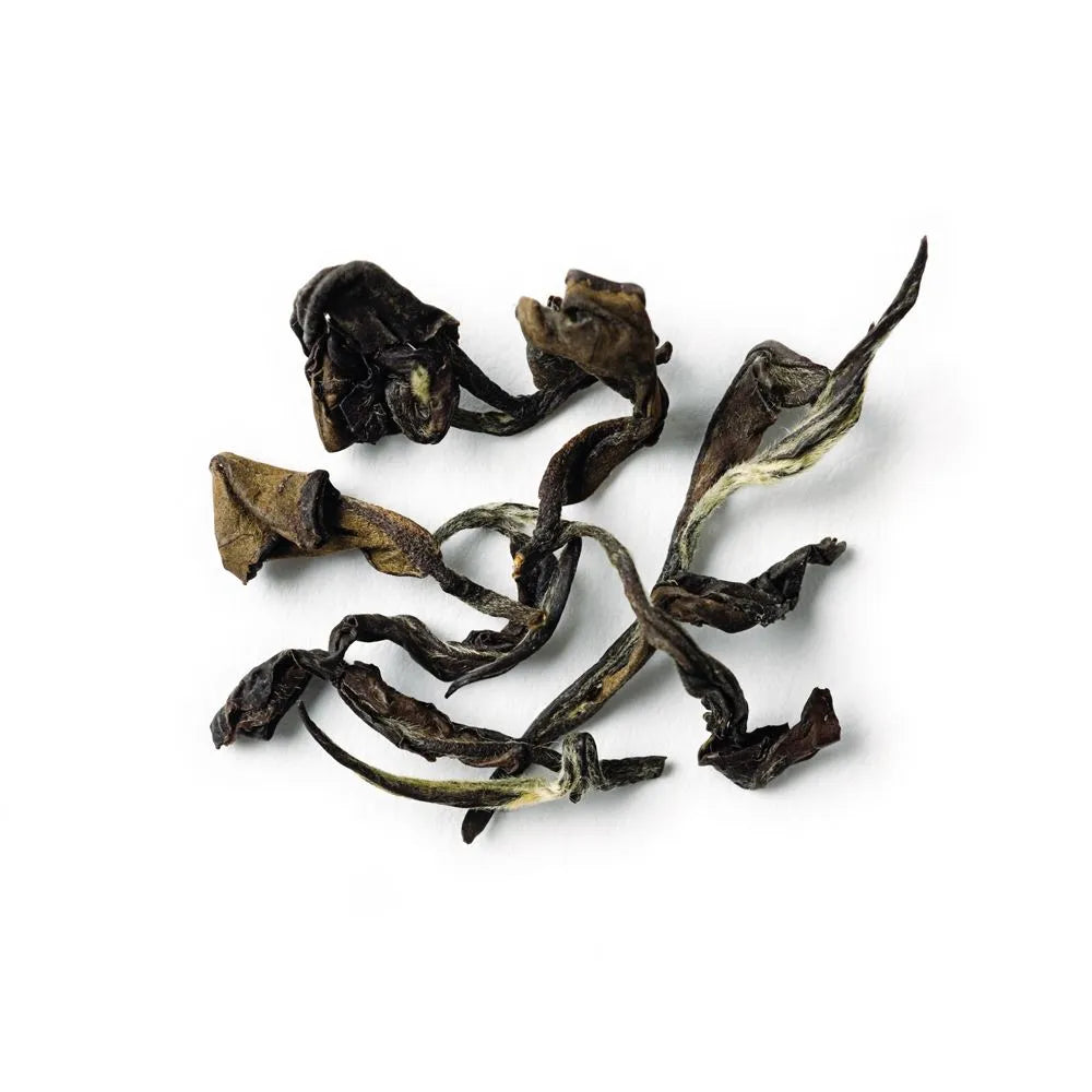 Republic of Tea Wuyi Oolong Full Leaf -picture of tea leaves