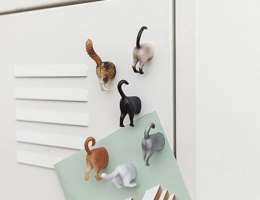 Kikkerland Cat Butt Magnets