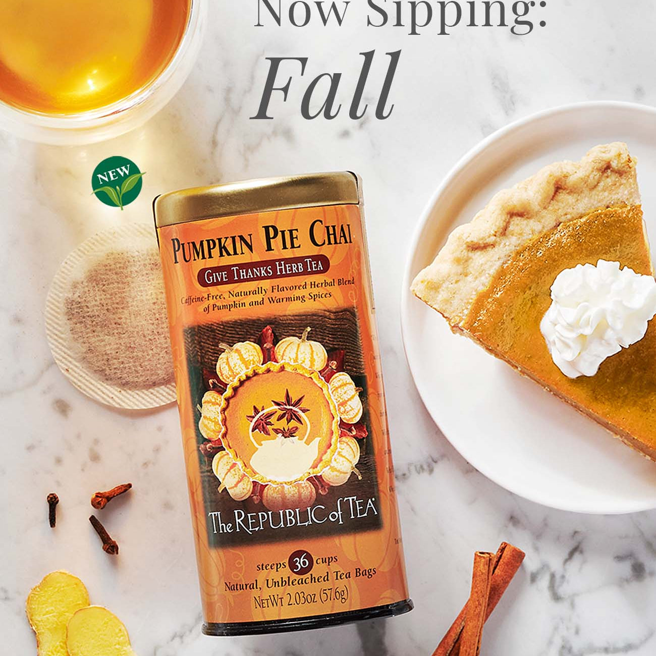 Republic of Tea  Pumpkin Pie Chai