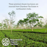 Republic of Tea Assam Black Iced Tea