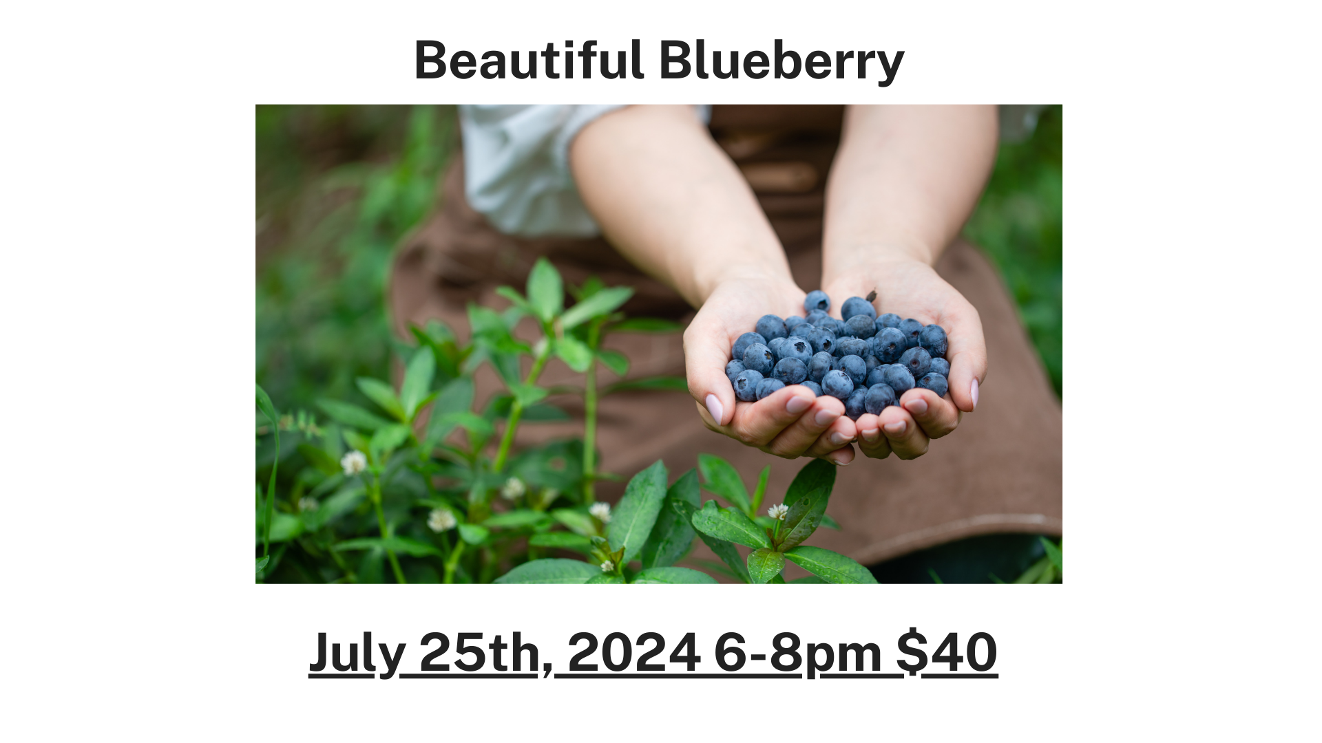 Poster for Beautiful Blueberry Class