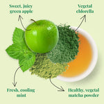 Picture of Ingredients for Detox Green Super Green Tea: green apple, vegetal chlorella, fresh cooling mint, healthy vegetal matcha powder