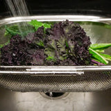 Stainless Steel Drainer-Strainer with lettuce being rinsed