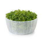 White colander with green leafy vegetables on a white background