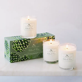 Soap & Paper Roland Pine Votive Holiday Gift Set