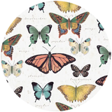 Andreas Jar Opener Butterfly