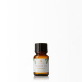 Thymes Frasier Fir Refresher Oil