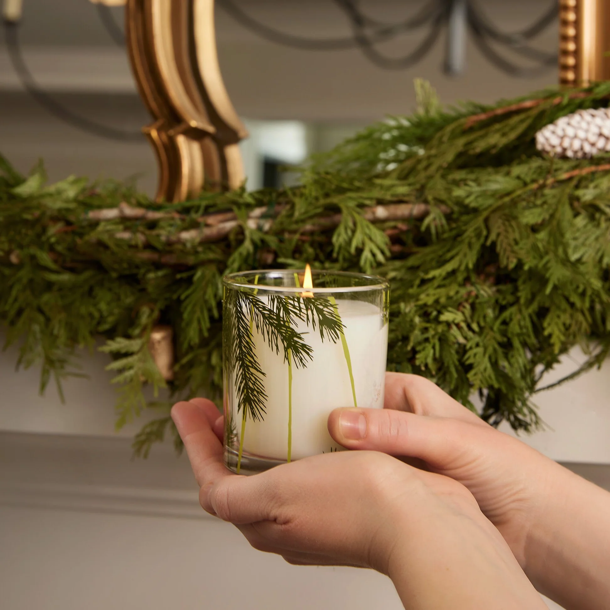 Thymes Frasier Fir Poured Candle Pine Needle 6.5oz