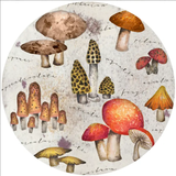 Andreas Jar Opener Mystical Mushroom