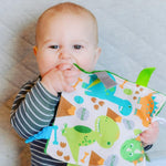Baby Jack & Co Learning Lovey featuring dinosaurs with a baby playing with the square