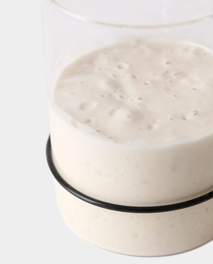 Close up of Breadtopia Sourdough Starter jar with dough