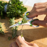 Zyliss Herb Snippers stripping herbs