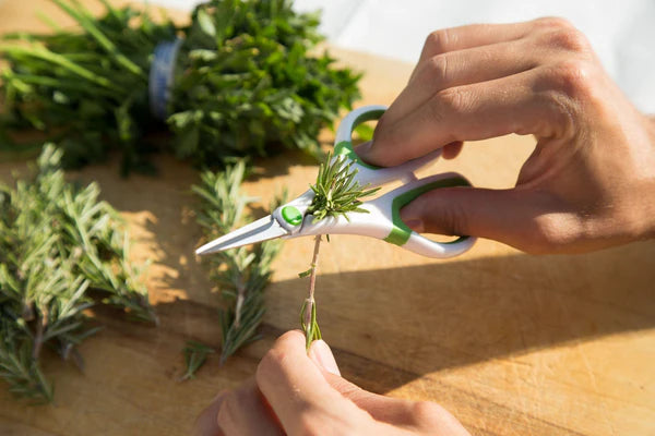 Zyliss Herb Snippers stripping herbs