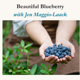 Beautiful Blueberry July 17th 2025 6-8pm $40